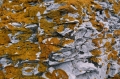 2004 Trollholmsundet 1